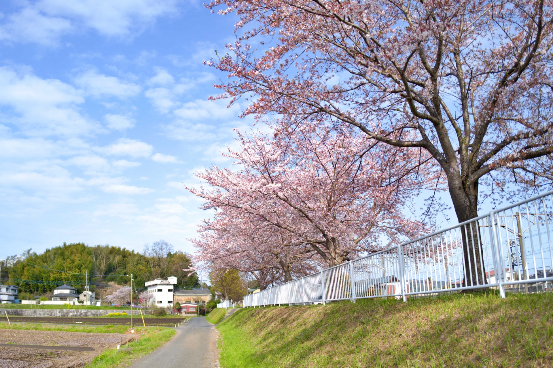 茨城県桜川市のイメージ 